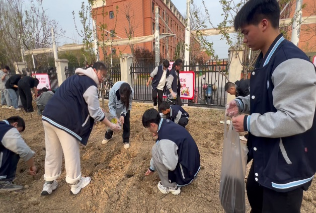 五育并举融实践 育葵向阳逐韶华